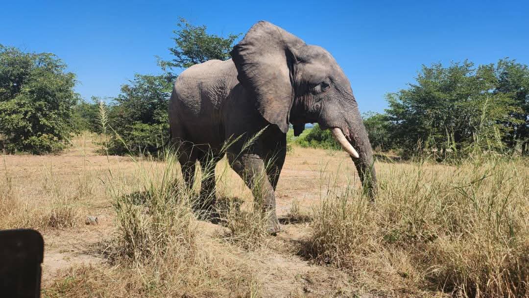 African travel moment