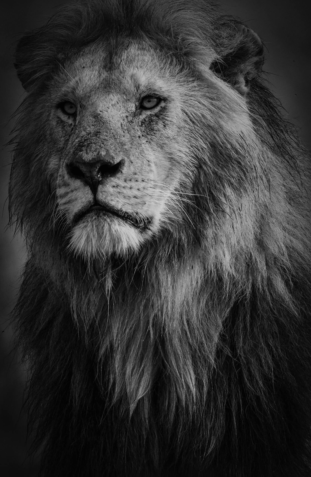 African travel moment