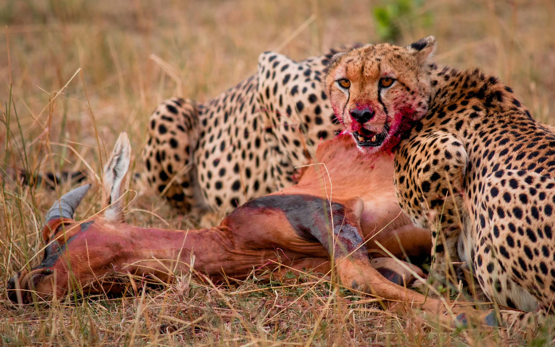 African travel moment