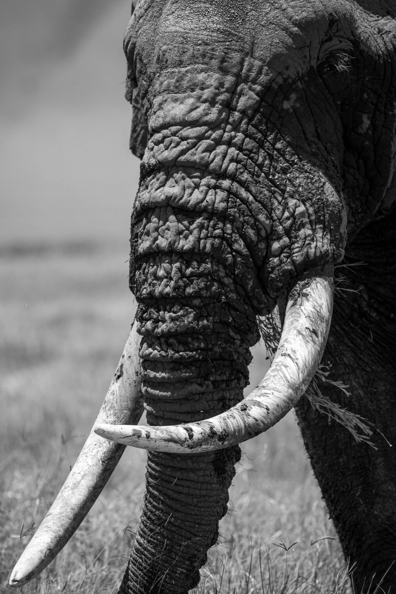 African travel moment