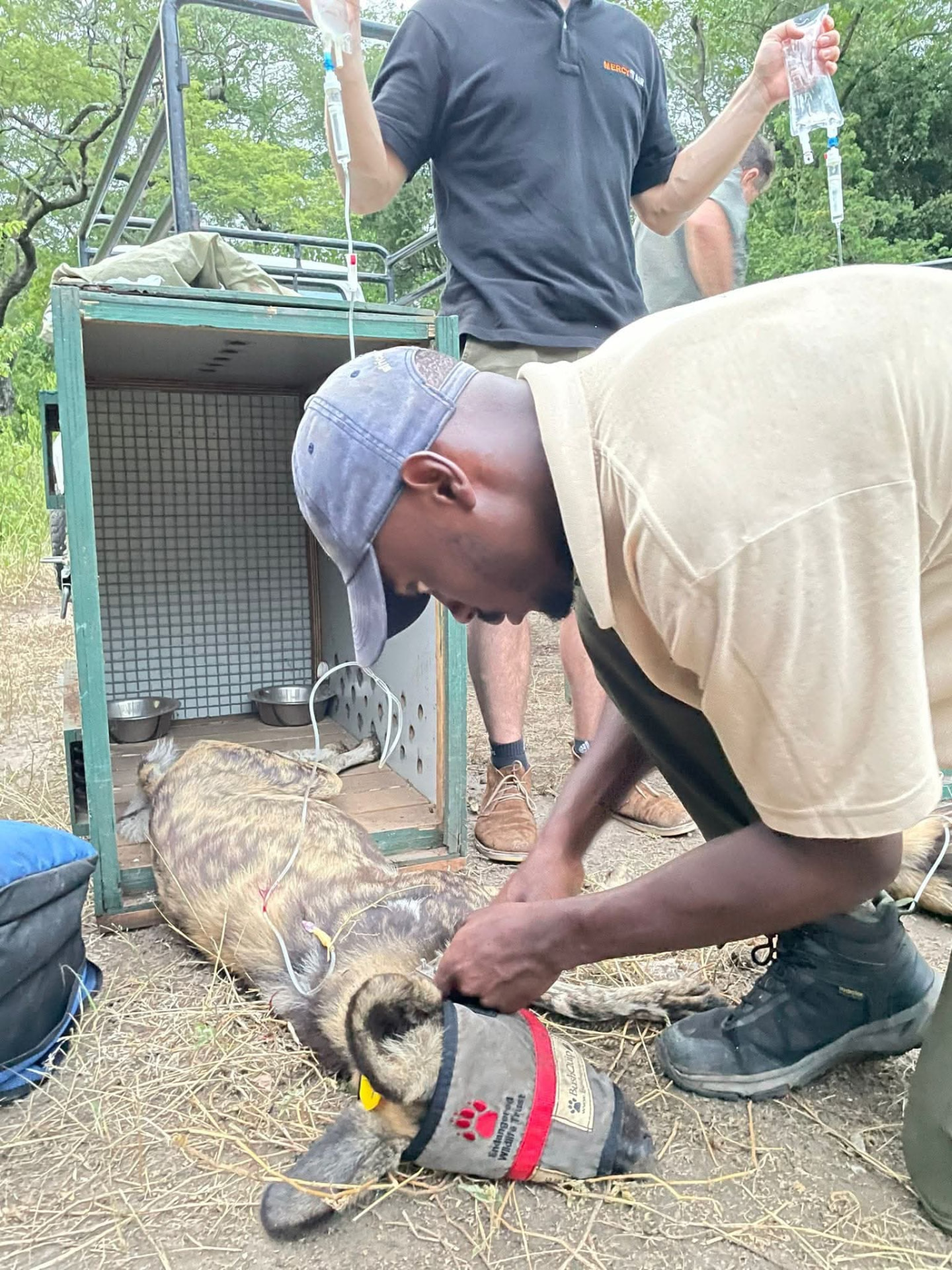Conservation Encounters